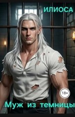 обложка книги Илиоса "Муж из темницы"