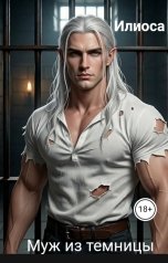 обложка книги Илиоса "Муж из темницы"