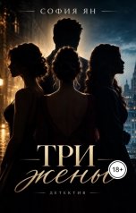 обложка книги София Ян "Три жены"