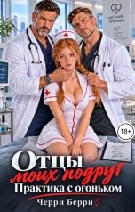 обложка книги Черри Берри "Отцы моих подруг. Практика с огоньком"
