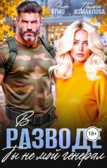 обложка книги Элен Блио, Полина Измайлова "В разводе. Ты не мой, генерал"
