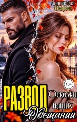 обложка книги Анастасия Флоренс "Развод. Осколки наших обещаний"