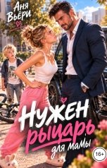обложка книги Аня Вьёри "Нужен рыцарь для мамы"