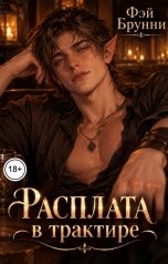 обложка книги Фэй Брунни "Расплата в трактире"