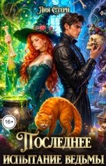 обложка книги Лия Стерн "Последнее испытание ведьмы"