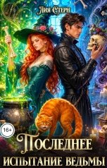обложка книги Лия Стерн "Последнее испытание ведьмы"