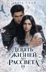 обложка книги Амита Скай "Девять жизней до рассвета - 3"