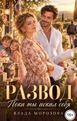 обложка книги Влада Морозова "Развод. Пока ты искал себя"