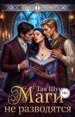 обложка книги Тая Шуи "Маги не разводятся"