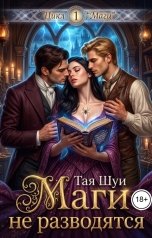 обложка книги Тая Шуи "Маги не разводятся"