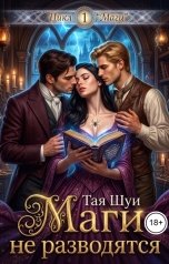 обложка книги Тая Шуи "Маги не разводятся"