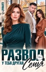 обложка книги Карина Ли "Развод. У тебя другая семья"