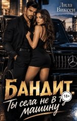 обложка книги Лила Виксен "Бандит. Ты села не в ту машину"
