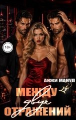 обложка книги Анжи Манул "Между двух отражений"