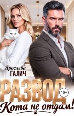 обложка книги Ярослава Галич "Развод в 45. Кота не отдам!"
