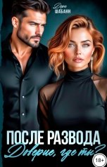 обложка книги Дора Шабанн "После развода. Доверие, где ты?"