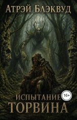 обложка книги Атрэй Блэквуд "Испытание Торвина"