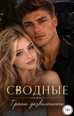 обложка книги Лия Хусс "Сводные. Грани дозволенного"