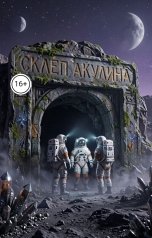 обложка книги Акулина "Склеп"