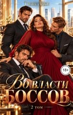 обложка книги Тина Лаки "Во власти боссов 2"