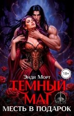 обложка книги Энди Морт "Темный маг. Месть в подарок"