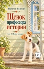 обложка книги Наталья Ванская "Новые находки"