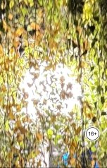 обложка книги Wt19690906 "Моё творчество 2026 года"