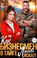 обложка книги Даша Елизарова "Как бизнесмен в тайге Любовь искал"