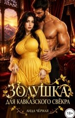 обложка книги Аида Чёрная "Золушка для кавказского свёкра"
