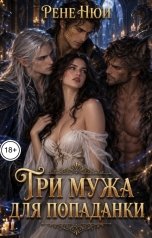 обложка книги Рене Нюи "Три мужа для попаданки"