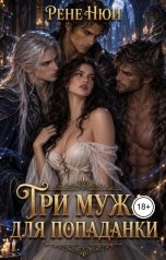обложка книги Рене Нюи "Три мужа для попаданки"