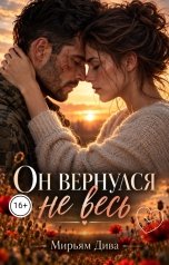 обложка книги Мирьям Дива "Он вернулся не весь"