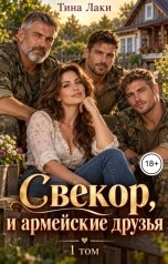 обложка книги Тина Лаки "Свекор, и армейские друзья"