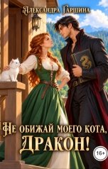 обложка книги Александра Гаршина "Не обижай моего кота, дракон!"