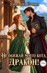 обложка книги Александра Гаршина "Не обижай моего кота, дракон!"