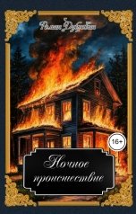 обложка книги Роман Дубровин "Ночное происшествие"