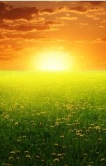 обложка книги Константин Жгутов "Я вижу солнце"