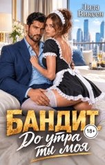 обложка книги Лила Виксен "Бандит. До утра ты моя"