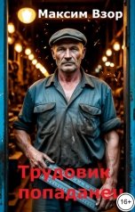 обложка книги Максим Взор "Трудовик-попаданец"