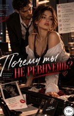 обложка книги Соня Недосып "Почему ты не ревнуешь?"