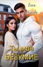 обложка книги Вика Жукова "Ты мое безумие"