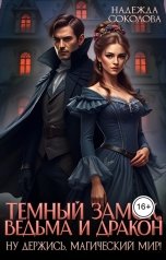 обложка книги Надежда Соколова "Темный замок, ведьма и дракон"