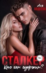 обложка книги Ася Авдеева "Сталкер. Кто кем одержим?"