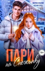 обложка книги Марина Индиви "Пари на Снежинку"