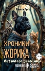 обложка книги Хельги Рус "Хроники Жорика. Источник всех чар"