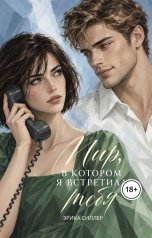 обложка книги Эрика Силлер "Мир, в котором я встретила тебя"