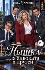 обложка книги Анна Мартини "Пышка для адвоката и друзей 3"