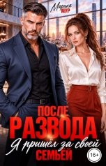 обложка книги Марика Мур "После развода. Я пришёл за своей семьёй"