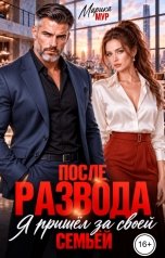 обложка книги Марика Мур "После развода. Я пришёл за своей семьёй"