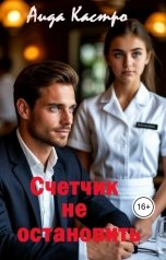 обложка книги Аида Кастро "Счетчик не остановить"